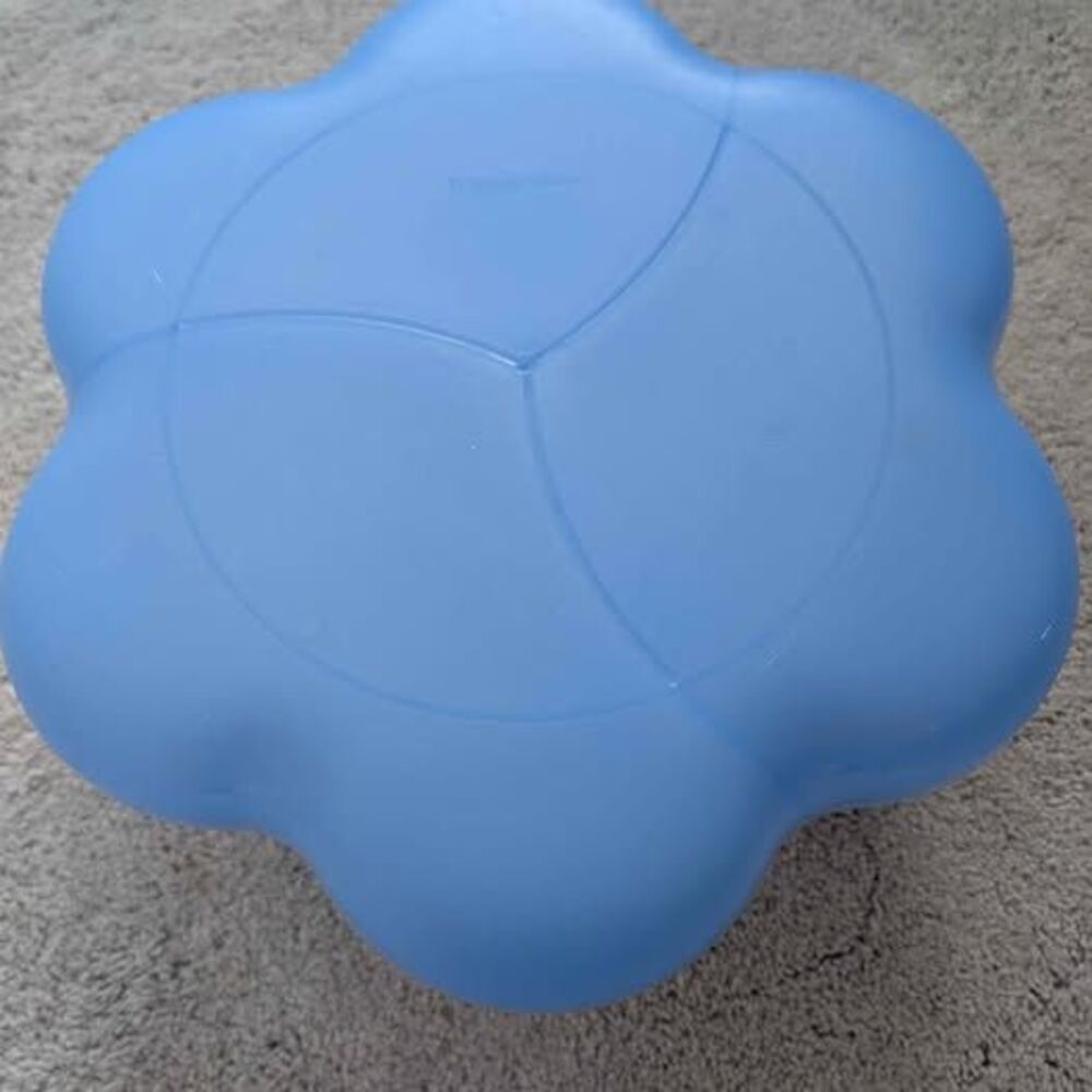 Tupperware Blue Flower Chip N Dip Set